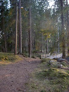 Elljusspåret i Finnerödja